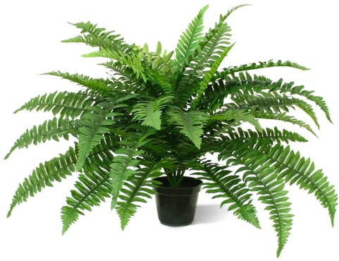 BloomPost Boston Fern Deluxe Kunstpflanze, 65 cm, dekorativer künstlicher Farn und Bürodekor, Schlafzimmer, Wohnzimmer und Küche