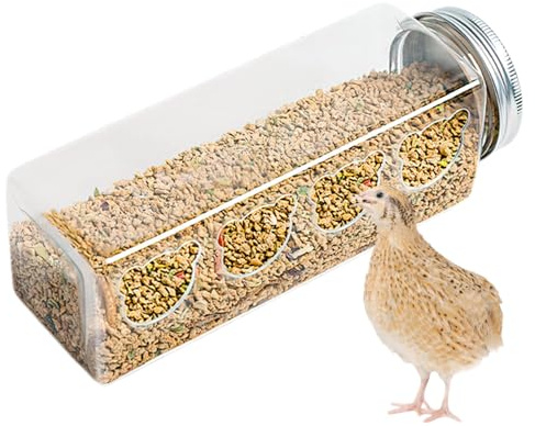 Distributeur de nourriture pour cailles - Transparent Spill -Sof - Distributeur de volaille - Style bouteille - Récipient à céréales avec 4 ouvertures - Accessoire léger pour cage à oiseaux - Pour