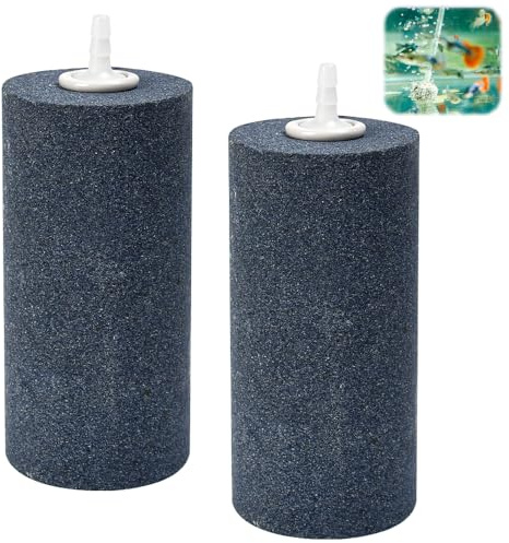 Elyyapt Confezione da 2 grandi cilindri in pietra porosa da 10 cm, diffusore per bolle d'aria, per acquario, pietre porose, aeratore per laghetto, acquario, acquario
