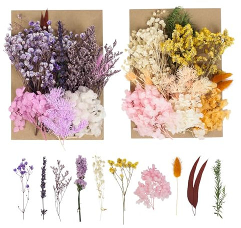LAUMOE 2 Sätze Trockenblumen Lila, Getrocknete Blumen, Trockenblumen Bunt, Blumenset zum Basteln, Deko für Kunst Basteln Dekoration