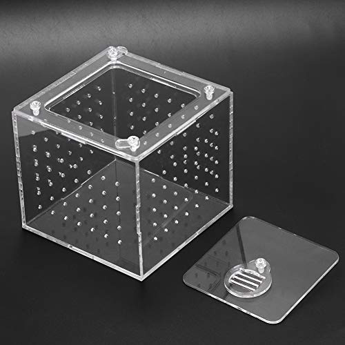 Pssopp Caja de Reproducción Box Transparente de Almacenamiento de Alimentos en Vivo para Grillos de Araña Caracoles Ermitak Cangrejos Tarantulas Geckos 3.9x3.9x3.5in, Gusano de Reptil, Portátil y