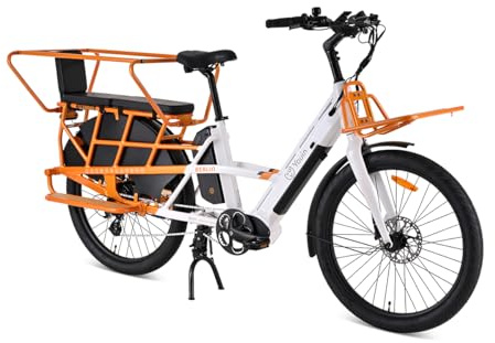 Youin Berlin BK6100 Vélo électrique urbain 26 Moteur central 250 W Double batterie jusqu'à 125 km Freins hydrauliques Shimano 7 V Porte-bagages Écran Couleur aluminium