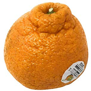 Fresh Produce B0050PRDWS