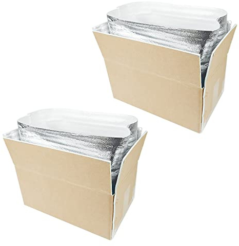 Thermo Chill Double Insulated Carton with Foil Insulated Bag Liner, Cold Shipping Box for Frozen Food, Cooler Moving Box for Posting, Small Parcel Postage Postal Mailing 340x200x145mm (2 Pieces)