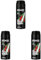 Axe Bodyspray Africa Deo ohne Aluminium sorgt 48 Stunden lang für effektiven Schutz vor Körpergeruch 150 ml (Packung mit 3)