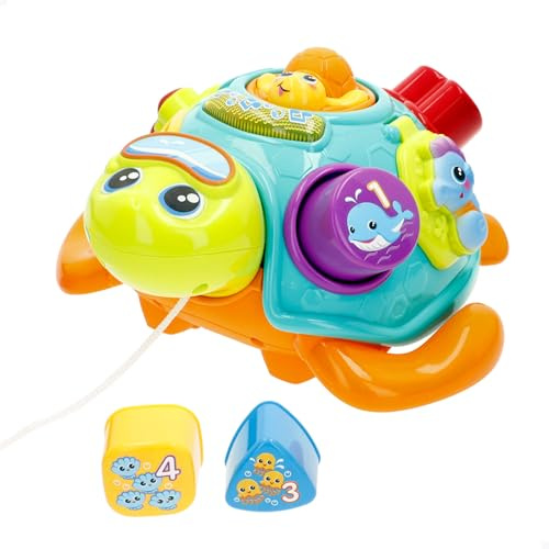 winfun Tortuga Musical Bilingüe con Sonidos, Melodías y Clasificación de Formas, Juguete Arrastre con Luces, Enseña Colores, Números y Animales, Estimulación Cognitiva 12+ Meses (47860)