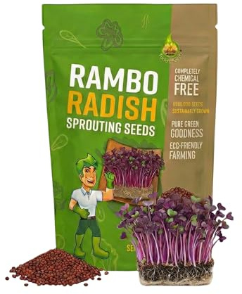 Todd's Seeds Rambo Sprouting Radish Seeds - Beautiful Red/Purple Colored Sprout, Non-GMO, Chemical Free, High Germination (1/2 Pound)