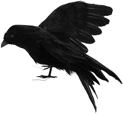 MAGT, Fjäderkråka, realistiskt utseende kråka, fåglar, svarta fjädrade kråkor, halloween och spöklika festdekorationer (odelade vingar)