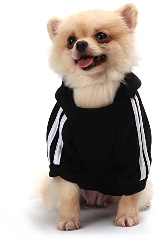 QiCheng & LYS Manteau Chien Petite Taille, Chat à Capuche, Pull Petit Chien, Chihuahua (Noir, Medium)