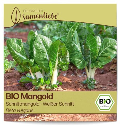 Samenliebe BIO Schnittmangold Samen Weißer Schnitt Stielmangold 200 Samen samenfestes Gemüse Saatgut für Gewächshaus Freiland und Balkon BIO Gemüsesamen winterhart