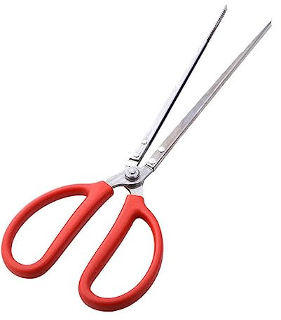 Cabilock 1 Pezzo Pinza in Acciaio Seghettata Strumento di Serraggio per Granchi Rifiuti Anguille delle Risaie Cobiti Forniture per Cucina