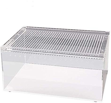 Scatola per l'alimentazione dei rettili, vasca per anfibi, terrario per rettili per ufficio, scatola per la conservazione del cibo vivo per rettili, scatola per l'allevamento dei rettili