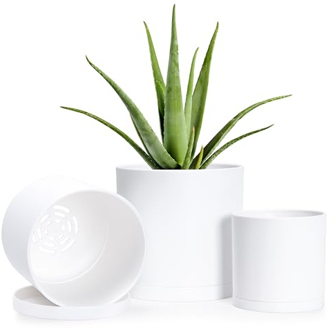 D'vine Dev Juego de 3 macetas Minimalistas pequeñas de plástico cilíndricas de 4, 5 y 6 Pulgadas, con Agujero de Drenaje y platillos sin Costuras, Color Blanco