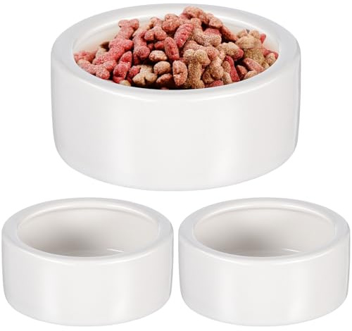 VOSAREA Lot de 3 Bols en Céramique Épaisse pour Reptiles, Petite Gamelle Ronde Blanche Anti-Fugue, Plat Stable pour Lézards, Mangeoire et Abreuvoir Adaptés aux Terrariums, Facile