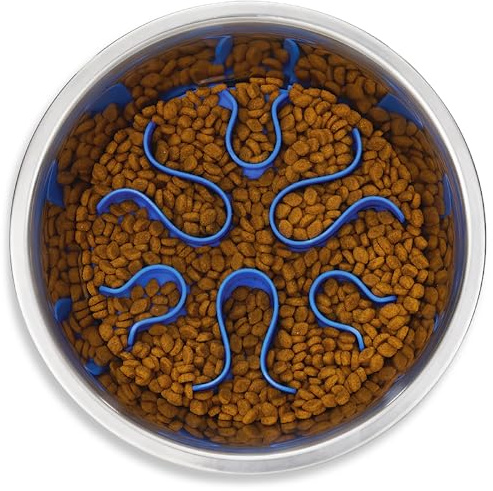 Outward Hound Fun Feeder Stainless Steel Slo Bowl for Dogs, Medium, 8.3