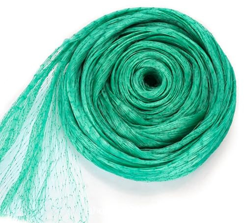 Rete di Protezione per Uccelli 6 x 10 m, Rete Anti Uccelli Rete Antiuccelli Verde Uccelli Rete per Protezione di Piante per Uccelli, Giardino, Balcone, Stagno