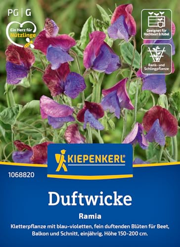Kiepenkerl Duftwickensamen Ramia 1068820, Blumensaat
