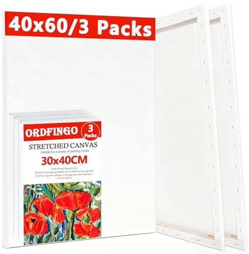Ordfingo Stretched Canvas for Painting, 6 Packs 30x40, 40x60CM Canvas Set | 280GSM Blank Artist Canvases with Wedges, Triple Primed, Acid Free Painting Canvas Boards for Acrylic, Oil, Watercolor Paint