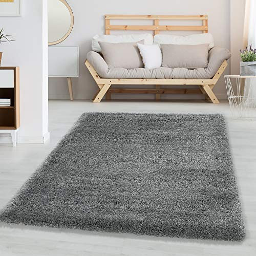 Carpettex Hochflor Teppich Wohnzimmer Shaggy Flokati Teppich Modern Einfarbig 80 x 150 cm Flur Teppich Läufer Hellgrau - Teppich Bettvorleger Schlafzimmer Weich Flauschig Waschbar Küchenläufer