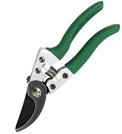 Cesoie da giardino Forbici per bonsai Cesoie per potatura Cesoie per alberi da frutto Cesoie per rose Bonsai Forbici da giardinaggio Attrezzi per innesto Attrezzi da giardinaggio