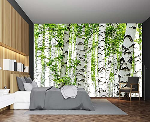 Cliouar-Photo Wallpaper Birch Forest Landscape Trees Poster Nature Lovers Green Forest Bedroom Decoration Mural 103 x 69(Not Self-Adhesive)