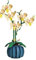 Darryy Orchideen-Bausteine, Blumen Bausteine Set (B)