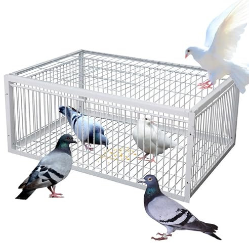 ASQUAR Piège À Oiseaux avec Entrée À Sens Unique Facile À Assembler, Cage Anti-évasion Piège À Pigeons Portable, 4 Pièces, Collection Automatique De Pigeons Cage À Pièges pour Animaux(90x60x26CM)