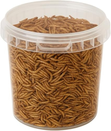 Premium Wild Bird Food 1L Tub (1L Tub, Dried Mealworms)