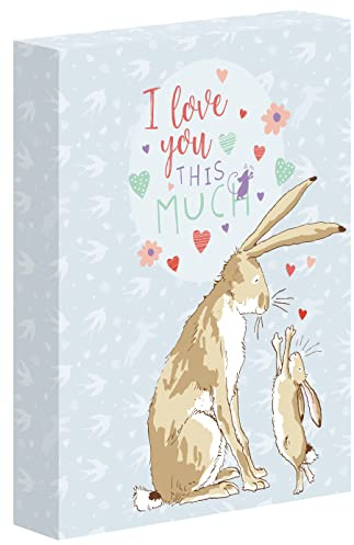 Portrait Photograph Album in Gift Box by Robert Frederick - Guess How Much I Love You Design - Holds 100 Photographs