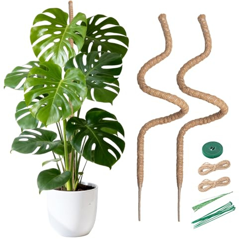 Mcbazel 2Pack 160cm Tiges en Fibre de Coco pour la Croissance des Plantes Grimpantes – Supports Flexibles et Cintrables en Fibre de Coco pour Monstera, Pothos et Plantes d'Intérieur avec Kit de Suppor