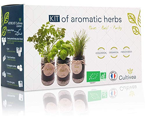 CULTIVEA® Kit Prêt à Pousser d’Herbes Aromatiques – Graines 100% Bio – Made In France - Jardin potager d’intérieur – Plante (Basilic, Persil et Ciboulette) - Idée Cadeau
