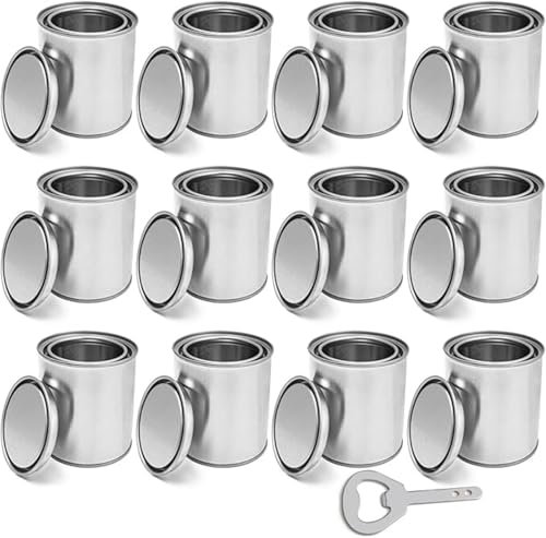 12 Pack Empty Paint Cans With Lids, 500ml Unlined Paint Buckets Bulk Paint Storage Containers, For Storage, Painting, Solvents, Paints Or Craft Projects