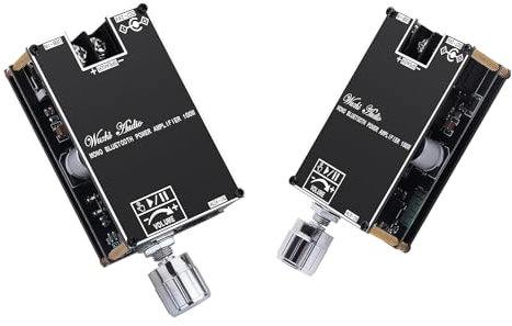 HiFi Amplifier with Bluetooth 5.1, ZK-1001B Audio Amplifier Card 100W Mini TWS Mono Audio Amplifier Module with BT/AUX/USB Input, DC 7-24V DIY Speaker Kit (Pack of 2)