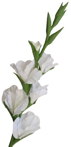 Gladiolo Natural Bulbo en Maceta para Exterior Planta Ornamental con Flores Vivas