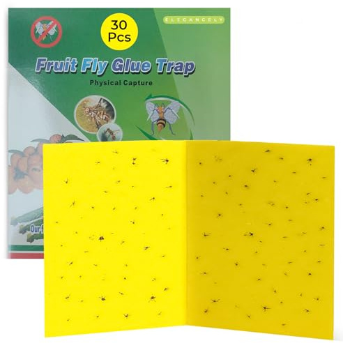 Elegant 30-pack fruktflugfälla inomhus och utomhus | stora 20 x 40 cm klibbiga insektskuddar och limpapper för hemmabruk, kök, trädgård – flugfångare och dubbelsidigt lim för insekter, gnat och myggor
