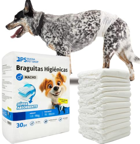 BPS 30Pcs Braguita Higiénica Pañal Sanitarios Macho para Perro Mascotas Fisiológicas Bragas Higiénicas 3 Tamaños a Elegir (M) BPS-2218