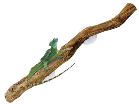 Naqqios Ramas de Escalada de Reptiles – Tronco de árbol de Madera Natural de 30 cm, decoración única de terrario, decoración Antideslizante para hábitat, Accesorios de Gecko de para Mascotas |