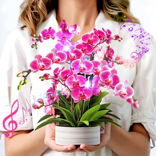 Birthday Cards for Women, Mothers Day Cards with Light and Music