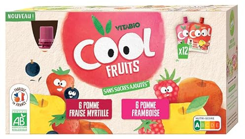 VITABIO COOL - Gourdes fruits Cool Fruits - Biparfums 2 recettes Fruits rouges (Fraise/Framboise) - 12x90g - BIO
