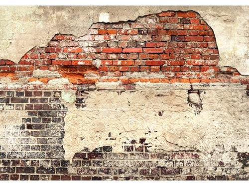 murando - Fototapete XXL Ziegelmauer 600x280cm- Foto Tapete Schlafzimmer Wohnzimmer Vliestapete XXL Wandtapete Motivtapeten Bildtapete 3d Effekt Wand Dekoration - Ziegel Ziegelstein f-A-0503-x-f