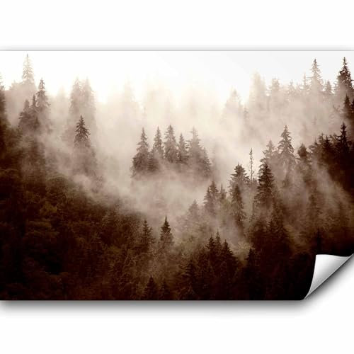 murando PREMIUM Fototapete Wald Nebel 400x280 cm Vlies Tapeten Wandtapete XXL Moderne Wanddeko Design Wand Dekoration Wohnzimmer Schlafzimmer Büro Flur Natur Landschaft skandinavisch