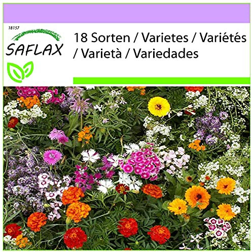 SAFLAX - Profumi seducenti - 1000 semi - 18 Sorten