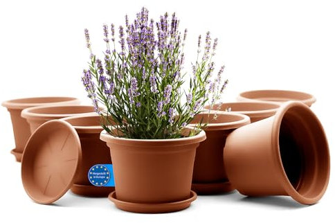BigDean 8 Stück Blumentopf mit Untersetzer rund ø 25 cm Terrakotta – wetterfester Pflanzkübel Made in Europe