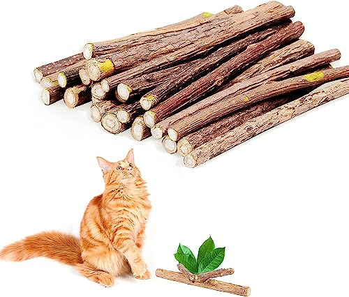LATRAT Lot de 30 Bâtonnets d'herbe à Chat en Bois Matatabi - Jouet à Mâcher pour Chats - Aide Ludique Contre Le Tartre et Nettoyage Dentaire Naturel