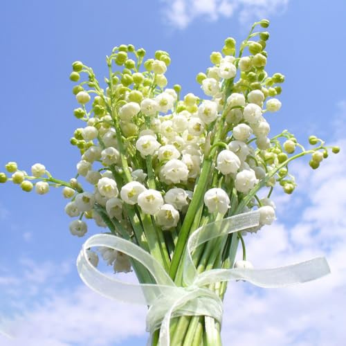 bulbos de lirio de los valles - perennes resistentes balcon exterior invierno 20pcs