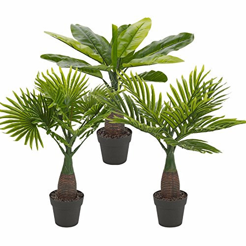 URBNLIVING Artificial Fan, Feather & Oval Leaf Palm Tree Pot Set