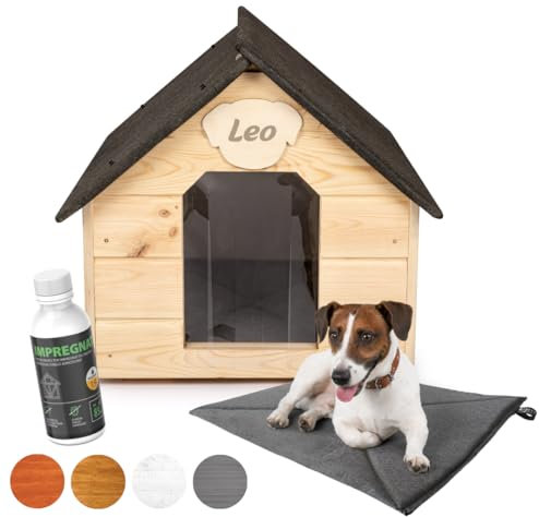 Petsen Personalisierte Hundehütte Isoliert Winterfest, Hundehaus L für mittlegroße Hunde, Dach zum Öffnen und Lamellentür, Wasserdicht und Isolierte Hundehöhle, erhöht Bodenplatte, MIT HUNDENAMEN