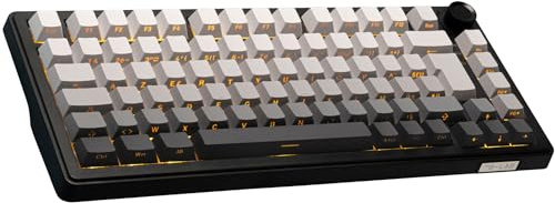 The G-Lab KEYZ Elite 300 GRG - Clavier Gamer sans Fil TKL Tri Mode 2.4 Ghz/Bluetooth/Filaire - Clavier Mécanique Hot Swap, Switchs Pré-lubrifiés, Gravur Latéral, RGB+Macro - AZERTY FR - Windows/Mac