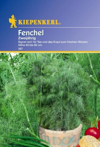 Kiepenkerl Fenchelsamen zweijährig 0567 - Fenchel Saatgut, beruhigend und magen- und darmschonend, als Gewürz oder im Tee