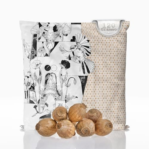MyPoppies Capsules de Fleurs de Pavot séchées Nature, Poppy Pods sans Tige, Accessoires de Bricolage et décoration (Grandes 120 g)